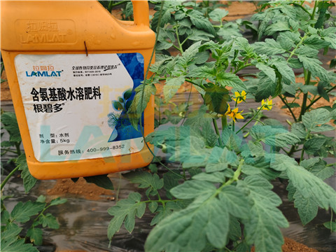 水溶肥，翠姆，拉姆拉