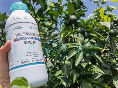 水溶肥，拉姆拉，翠姆