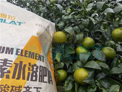 水溶肥，拉姆拉，翠姆