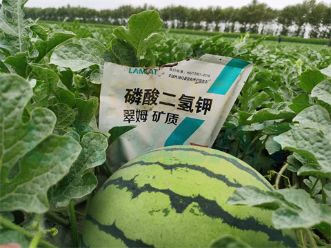 水溶肥，拉姆拉，翠姆
