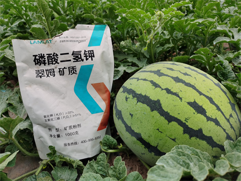 水溶肥，翠姆，拉姆拉